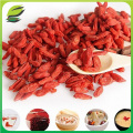 dried goji berry manufacturer with cheap price